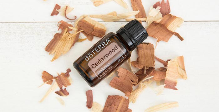 El aceite esencial de Cedro de doTERRA, puede estimular factores importantes para la salud y la apariencia de la piel.