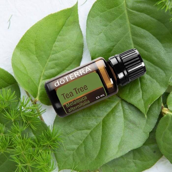 Tea Tree Oil de doTERRA, botella de 15 ml.