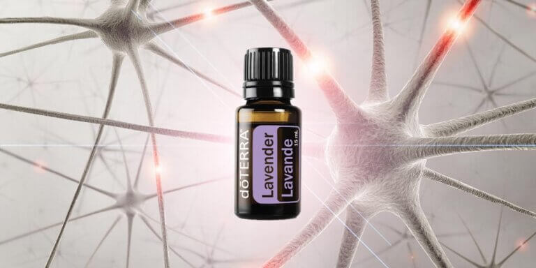Un estudio hecho por neurocientíficos alemanes, indica que el aceite esencial de lavanda tiene poderosos efectos relajantes y calmantes. El Aceite esencial de Lavanda de doTERRA es el único en el mundo con grado farmacéutico, validado por la FDA.