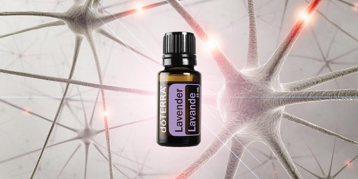 En este momento estás viendo Lavanda de doTERRA, ahora con grado farmacéutico